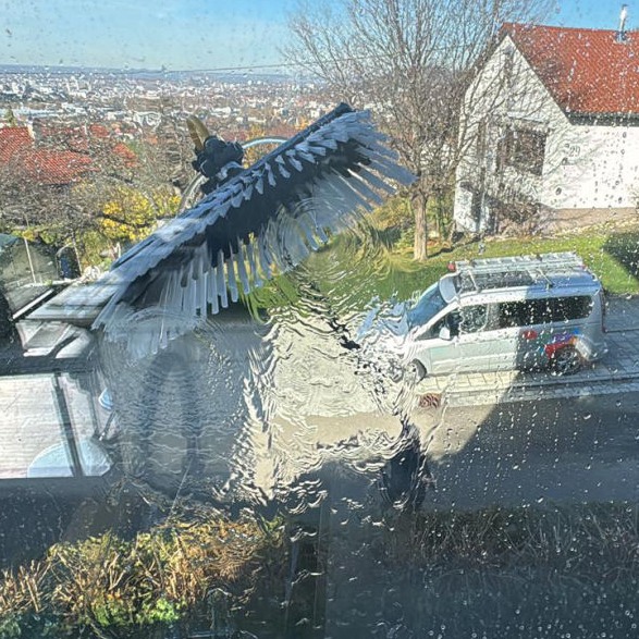 Fensterreinigung mit Reinwasser